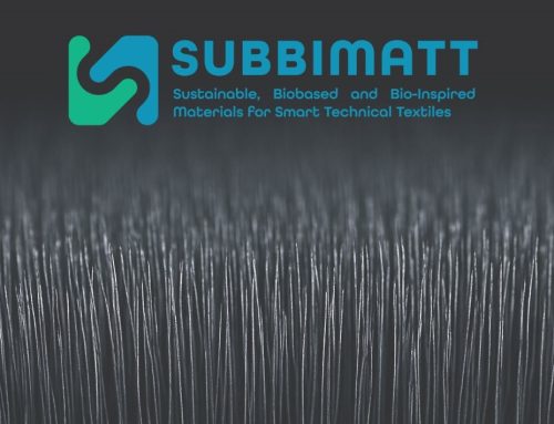 A New Flexible and Conductive Film for Future Energy Applications