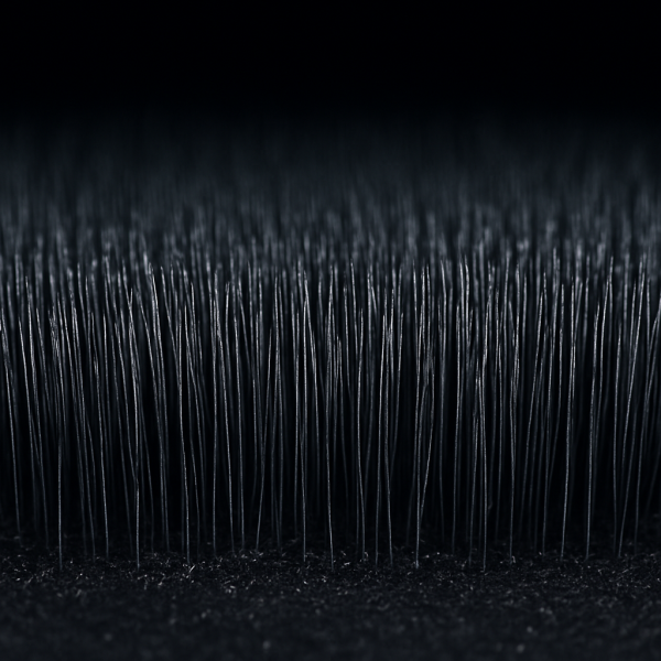 Forest of ultrathin, metallic carbon nanofibers