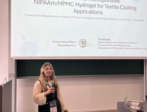 SUBBIMATT presented at the PPI Conference 2026